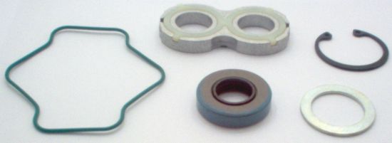 Picture of 163V1009 / 1016 SEAL KIT