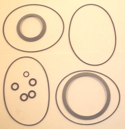 Picture of CHAR-LYNN 10000 SERIES REAR SEAL