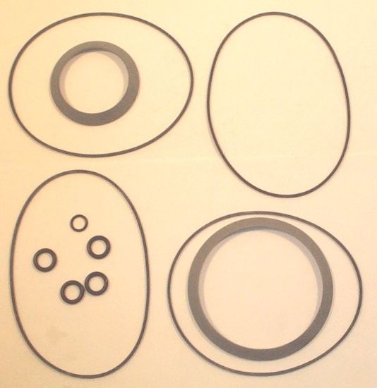 Picture of CHAR-LYNN 10000 SERIES REAR SEAL