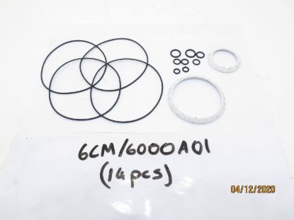 Picture of CHAR-LYNN 6000 / 112  BODY SEAL KIT