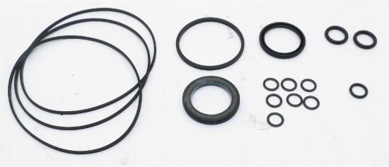 Picture of CHAR-LYNN 'S' SERIES 009 & 010