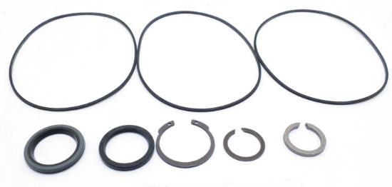 Picture of PARKER NICHOLS SERIES 110A SEAL KIT