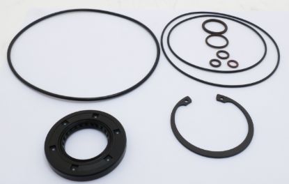 Picture of EATON 420 SERIES  / 421AK  SEAL KIT