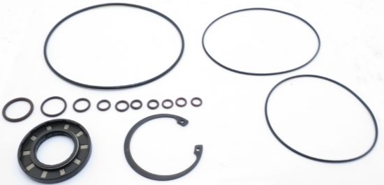 Picture of EATON 420 SERIES  / 421AK  SEAL KIT