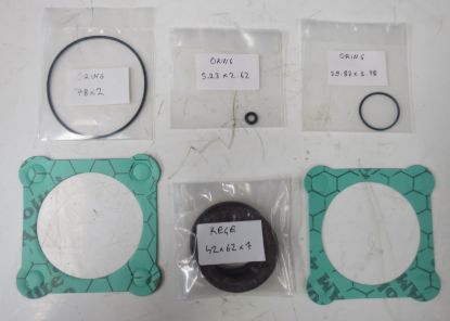 Picture of 23 & 32CC/REV BENT AXIS  SEAL KIT
