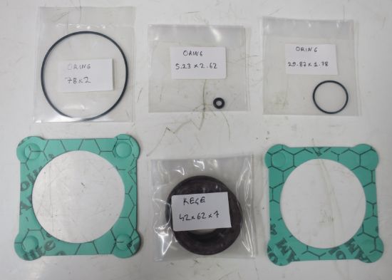 Picture of 23 & 32CC/REV BENT AXIS  SEAL KIT