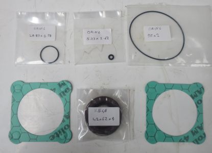 Picture of 45,56  63CC/REV BENT AXIS  SEAL KIT