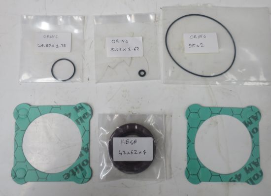 Picture of 45,56  63CC/REV BENT AXIS  SEAL KIT