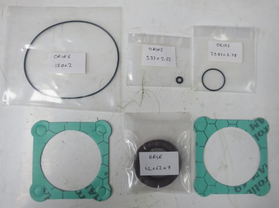 Picture of 107 &125CC/REV BENT AXIS  SEAL KIT