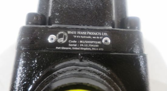 Picture of 55CC 300 BAR, DIN 4 BOLT 8 SPLINE