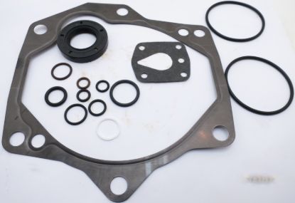 Picture of PVE19 / 21 SEAL KIT (VITON SHAFT S)