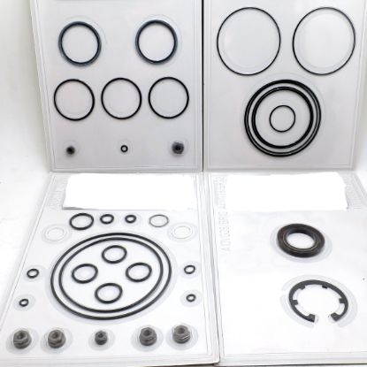Picture of A10VG28/10 - SEAL KIT