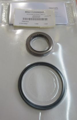 Picture of A11VLO60/75 SHAFT SEAL KIT