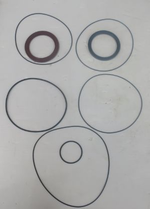 Picture of ROLLSTAR AM110/G331 SEAL KIT