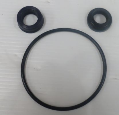 Picture of ROLLSTAR AM110/G331 SEAL KIT