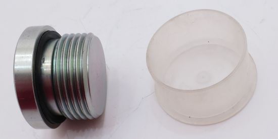 Picture of 1'' BSP SOCKET HEAD BLANKING PLUG