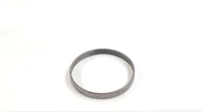 Picture of SPV2 / SMF2 52cc  BEAR PLATE P RING