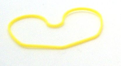 Image de RING BACKING SP2 12T