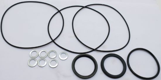 Picture of SEAL KITS FOR ADAN WWM MOTORS