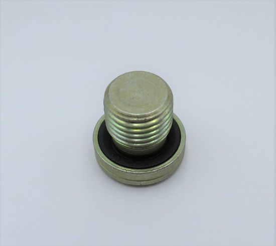 Picture of PLUG BLANKING 1/4'' BSP