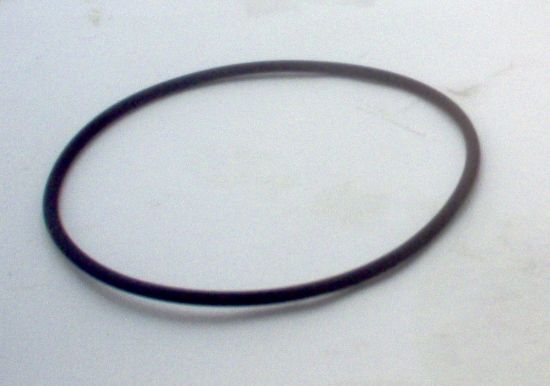 Picture of S4 FLUOROCARBON WEARPLATE SEAL