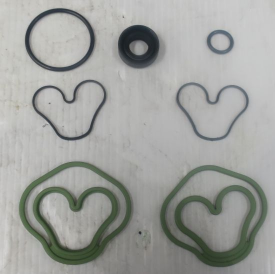 Picture of PGP502 VITON SEAL KIT