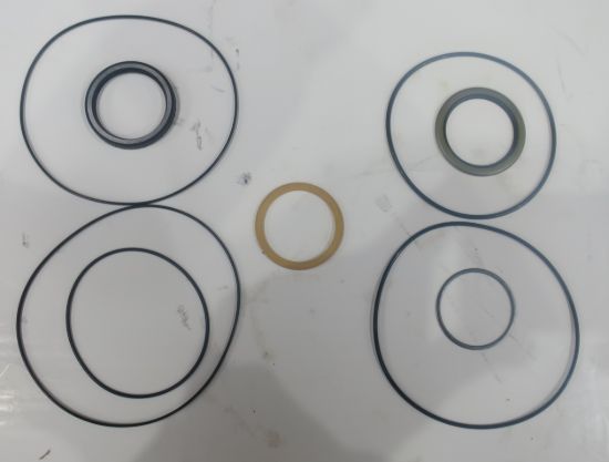 Picture of WHITE RE 500 SERIES MOTOR SEAL KIT
