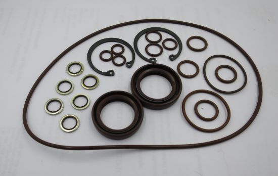 Image de MA10V028 VITON SEAL KIT