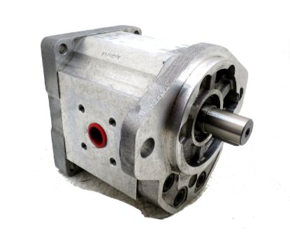 Picture of SNP3 A44L