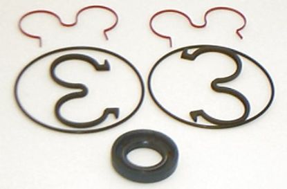Picture of HIDROIRMA AP2 SERIES SEAL KIT