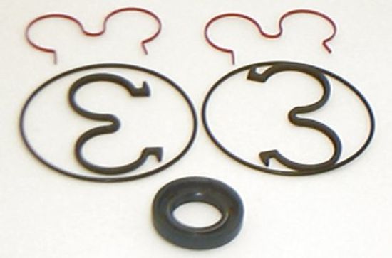 Picture of HIDROIRMA AP2 SERIES SEAL KIT