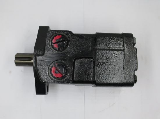 Picture of WHITE 300CC/REV,6B SPLINED SHAFTED