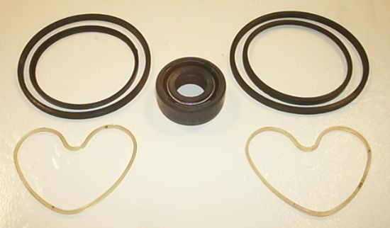 Picture of GP1/175 SEAL KIT