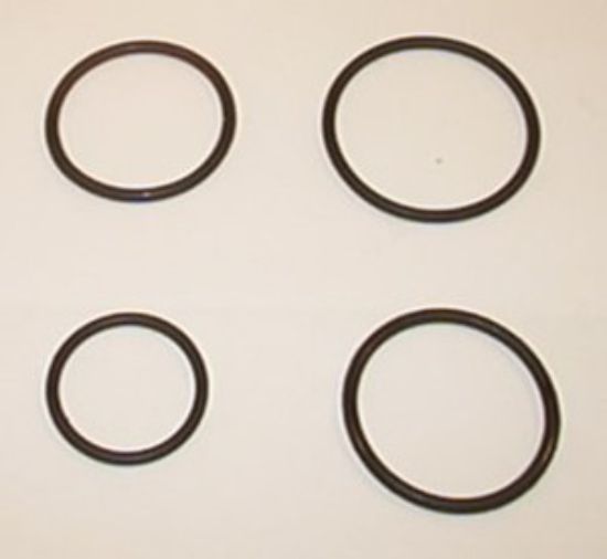 Picture of 1 BANK SEAL KIT FOR V1790