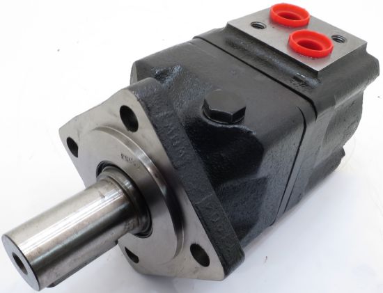 Picture of 100CC HI TORQUE MOTOR 1.1/4 PAR SHA