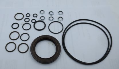 Picture of MA10V100 VITON SEAL KIT