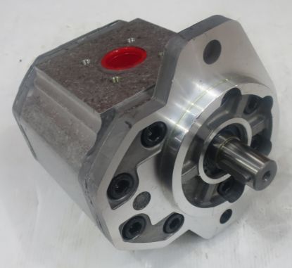 Picture of SNP3 C38L