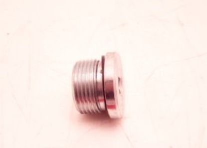 Picture of 3/4 BSP SOCKET HEAD BLANKING PLUG