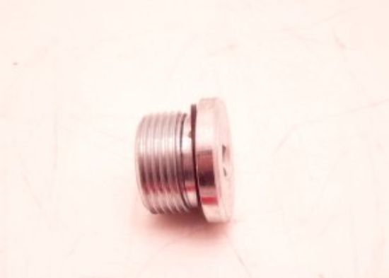 Picture of 3/4 BSP SOCKET HEAD BLANKING PLUG