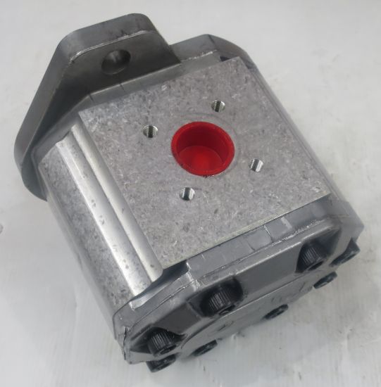 Picture of SNP3 C38L