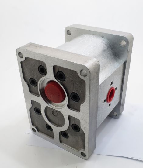 Picture of TAP 60-200 A106L C041 PUMP