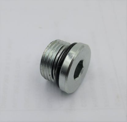 Picture of 3/4 SORB SOCKET HEAD BLANKING PLUG