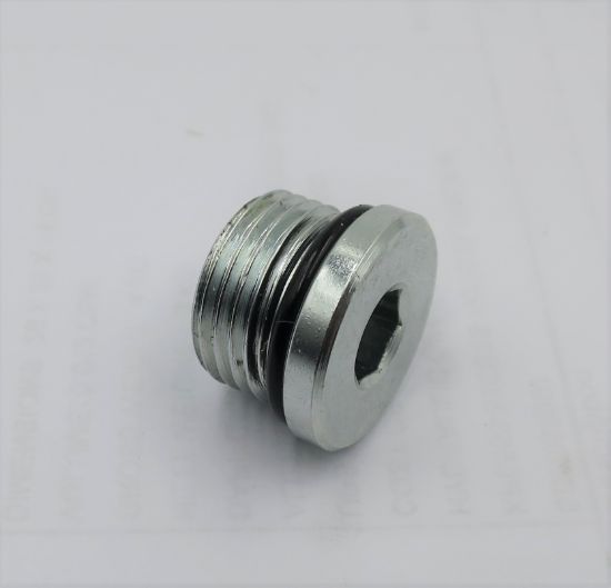 Picture of 3/4 SORB SOCKET HEAD BLANKING PLUG