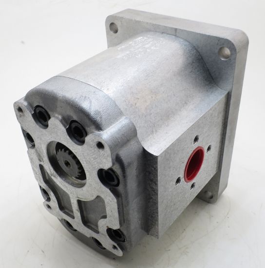 Picture of TAP 60-200 C106L C031 LAD PUMP