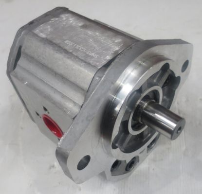 Picture of SNP3 C33L