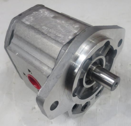 Picture of SNP3 C33L