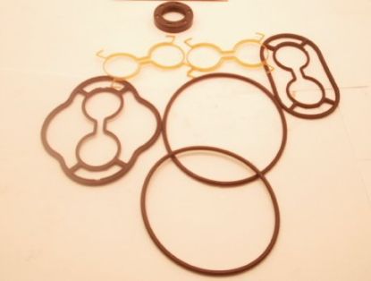 Picture of SNM2S ''LHBL''  MOTOR SEAL KIT