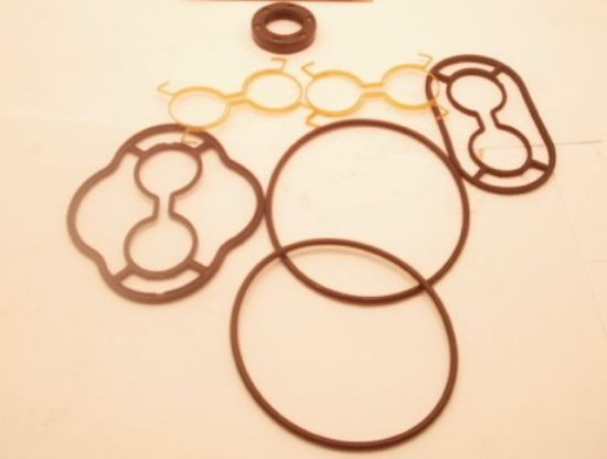 Picture of SNM2S ''LHBL''  MOTOR SEAL KIT