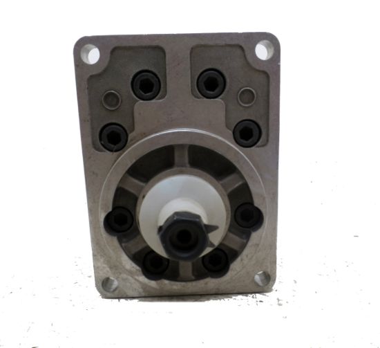 Picture of SNP3 A48L C006 BOSCH STYLE PUM