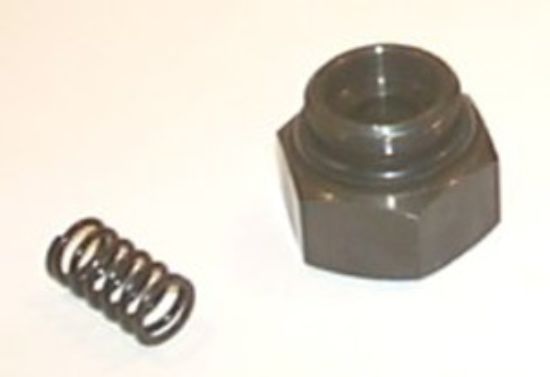Picture of DG03 BLANKING PLUG & SPRING